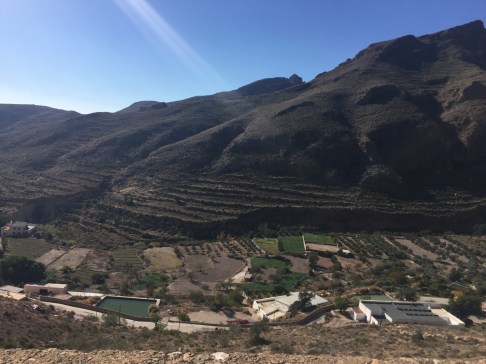 095E2903-3B91-40FF-8A64-CA905CF5DF36