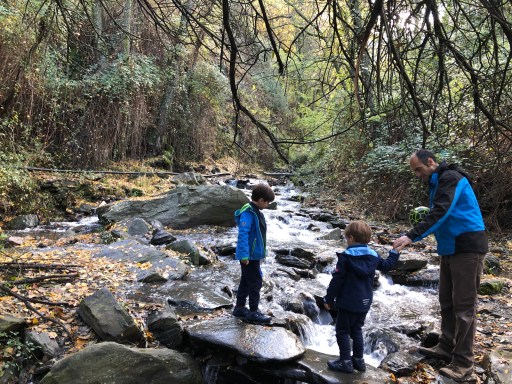 6B82EF8B-4518-4DC4-9631-BC8227E2262E