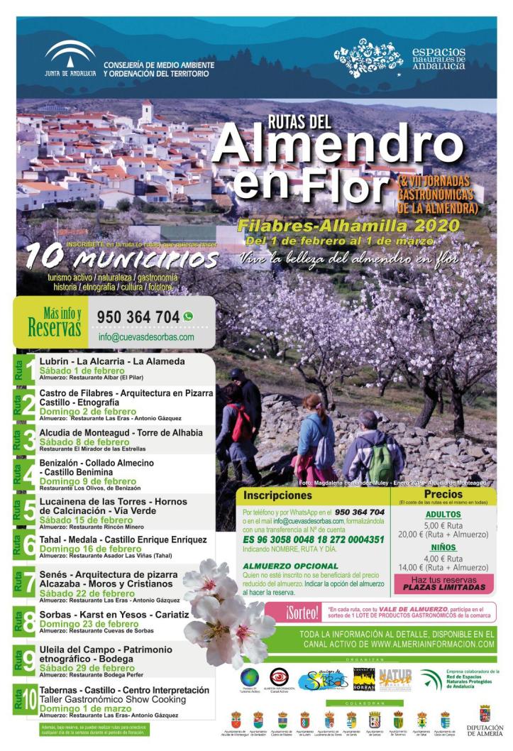 rutas flor del almendro 2020
