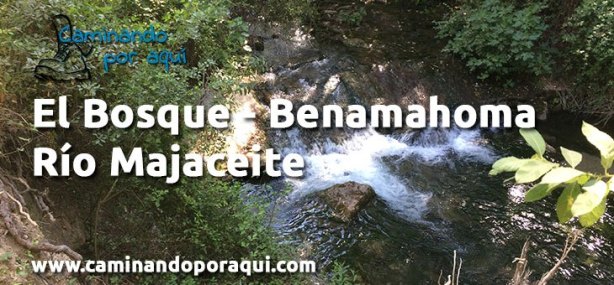 dest-el-bosque-benamahoma