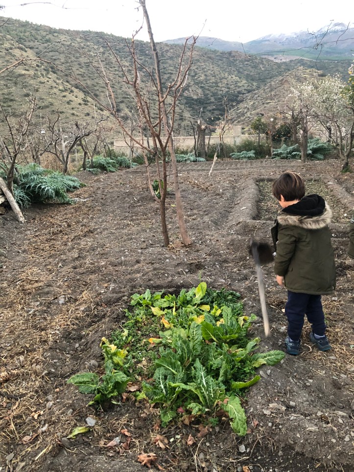 FE683246-6C9A-43B0-A1C3-0901AFEE54FC