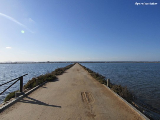 paseo-salinas-mar-menor-san-pedro-del-pinatar.jpg
