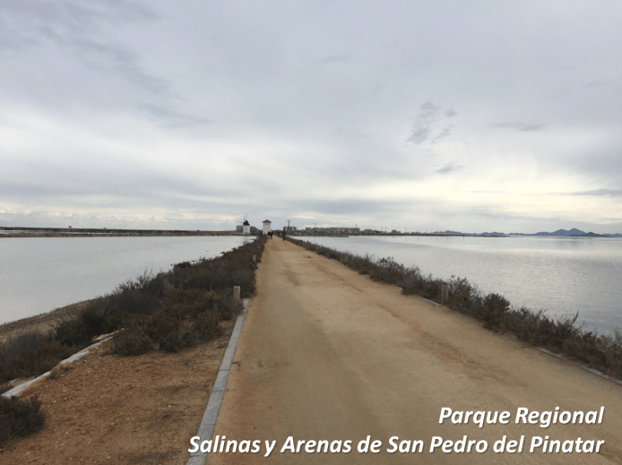 salinas san pedro con letras.png