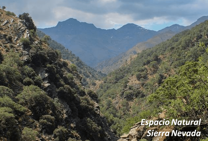 sierra nevada con letras