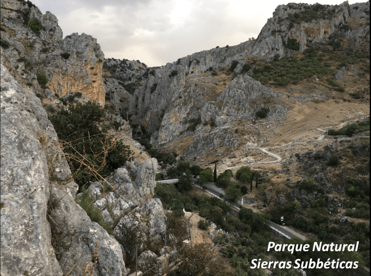 subbetica cordobesa con letras