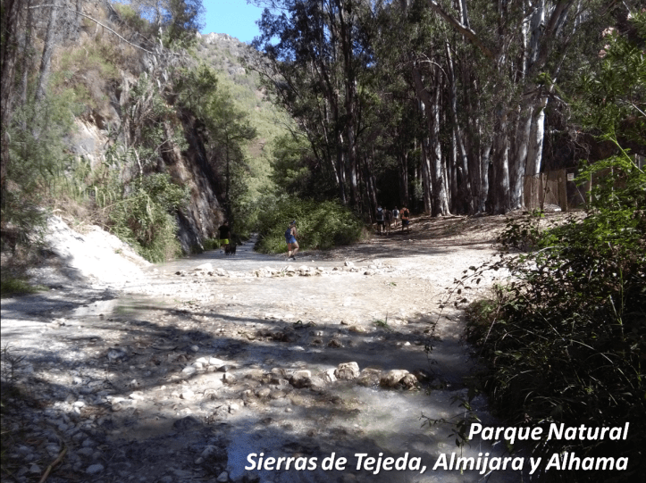tejeda y almijara con nombre