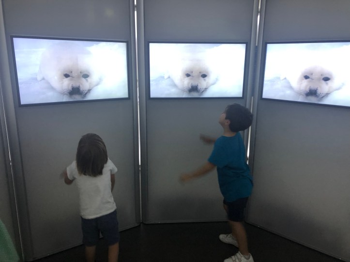 38B1DF54-B436-4688-B1F1-6D9207858530