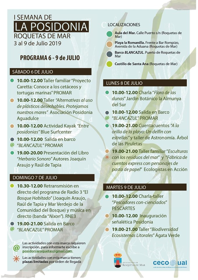 65013879_537288493473553_5411841926070534144_n