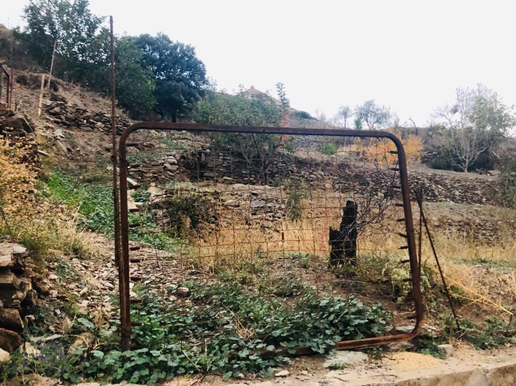 14D0BD30-5DE8-4023-9670-B95218B81FE8