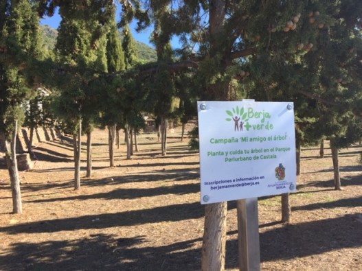 mi amigo el arbol 2019_Castala (5)